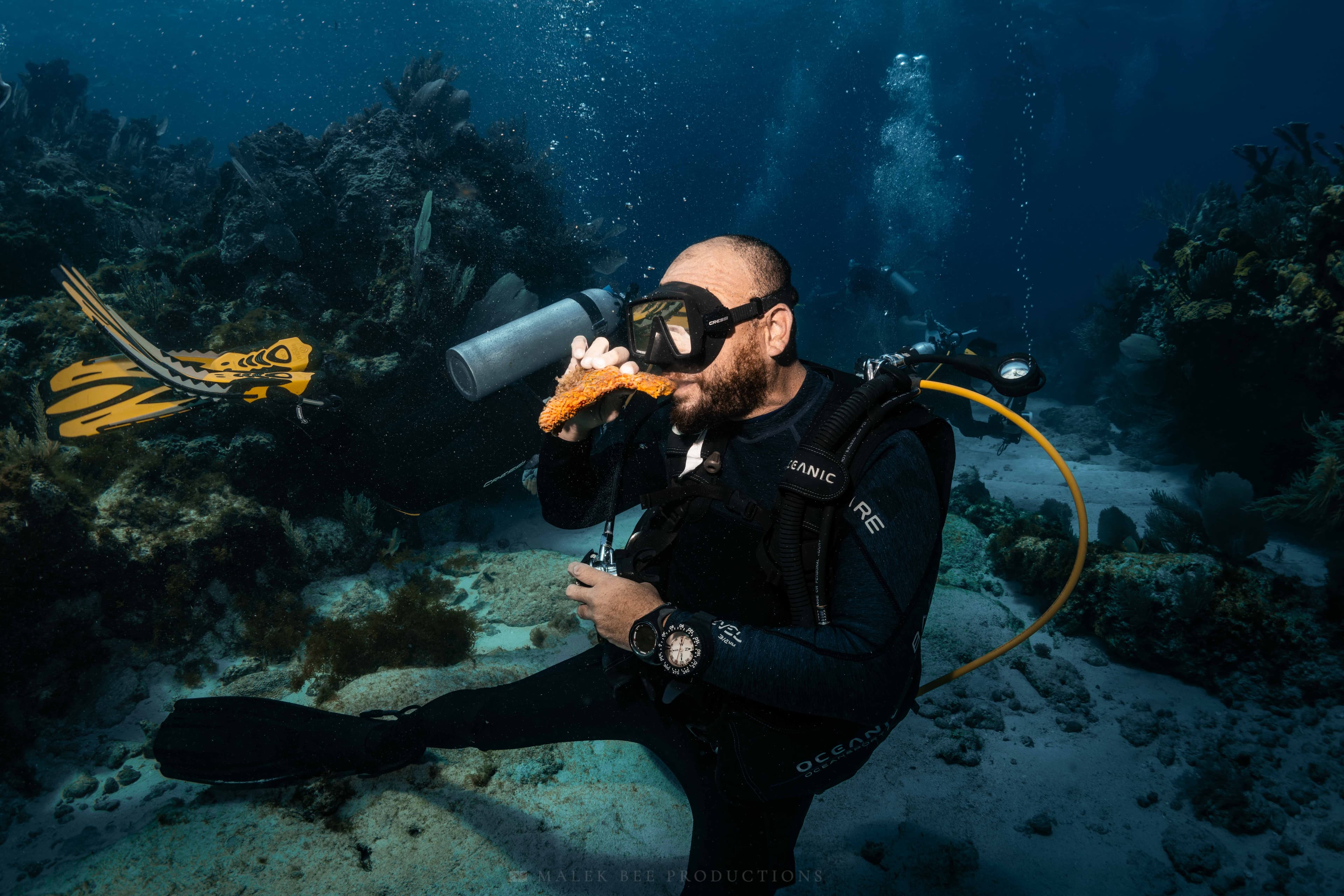 A scuba diver playfully bites an orange sea sponge while swimming near a coral reef.